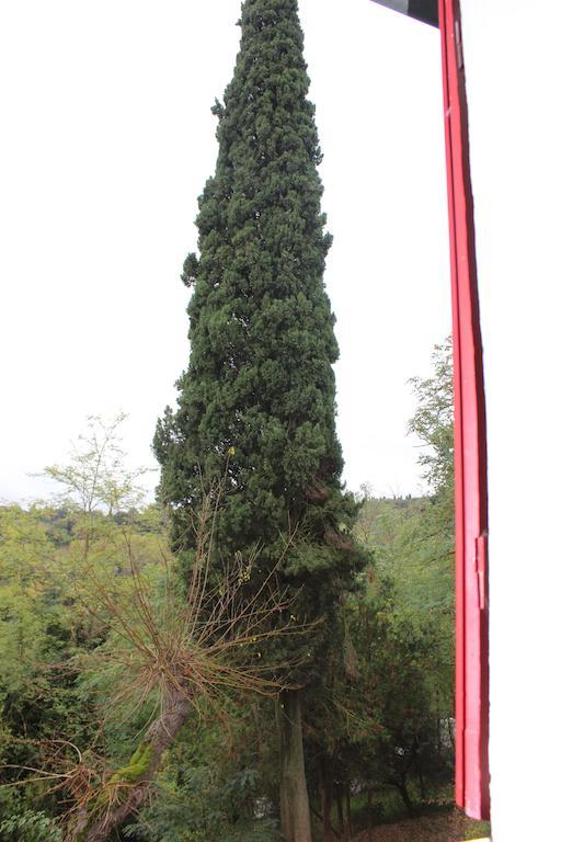 Apartament Il Vecchio Cipresso San Gimignano Zewnętrze zdjęcie